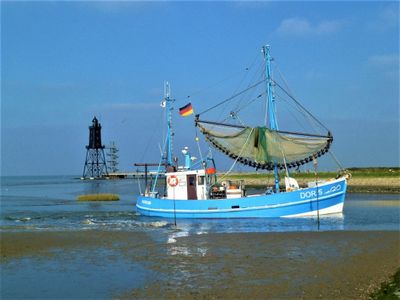 Ferienwohnung für 3 Personen (37 m²) in Wurster Nordseeküste 10/10