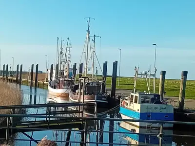 Kutterhafen Spieka-Neufeld