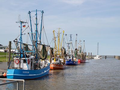 Ferienwohnung für 4 Personen (42 m²) in Wurster Nordseeküste 10/10