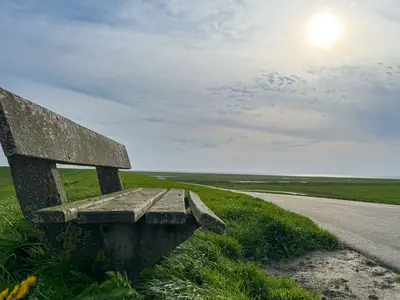 Landschaft