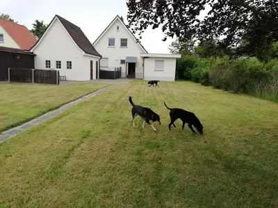 Auslauf_Ausruhen_Toben und mehr