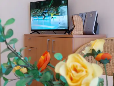 Ferienwohnung für 3 Personen (37 m²) in Wurster Nordseeküste 9/10