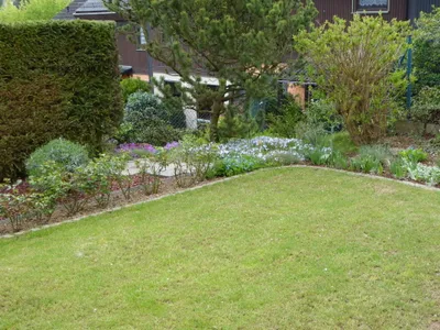 Blick in den Garten