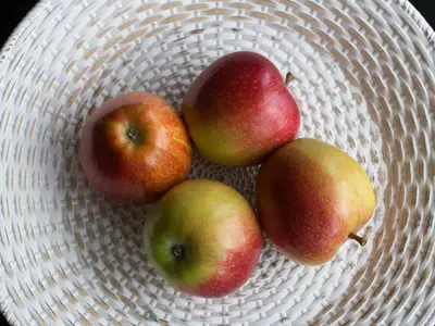 Ferienwohnung für 4 Personen (34 m²) in Wurzen 5/10