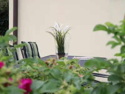 Ferienwohnung für 4 Personen (70 m²) in Ostseebad Wustrow 6/10
