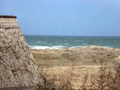 Ferienwohnung für 4 Personen (45 m²) in Wustrow (Ostseebad) 5/10