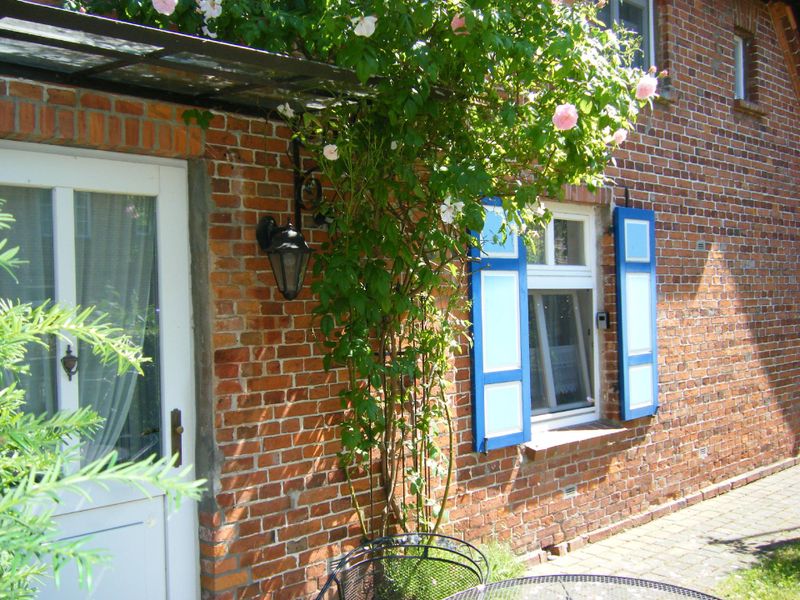 23992778-Ferienwohnung-2-Wustrow (Ostseebad)-800x600-2