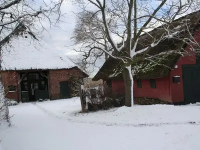 Ferienwohnung für 2 Personen (45 m²) in Wustrow (Ostseebad) 3/10