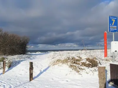 Ferienwohnung für 2 Personen (32 m²) in Wustrow (Ostseebad) 4/10