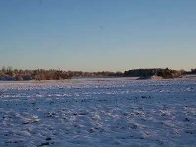 Ferienwohnung für 2 Personen (40 m²) in Wustrow (Ostseebad) 3/10