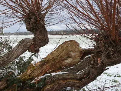 Ferienwohnung für 2 Personen (40 m²) in Wustrow (Ostseebad) 7/10