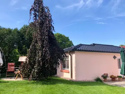 Ferienwohnung für 2 Personen (39 m²) in Wustrow (Ostseebad) 5/10