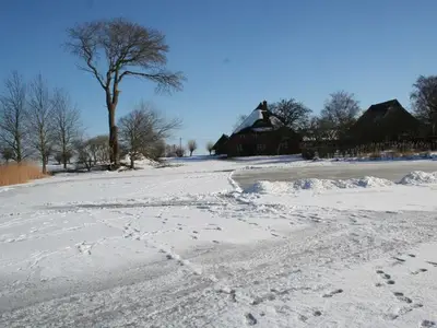 Ferienwohnung für 2 Personen (55 m²) in Wustrow (Ostseebad) 4/10