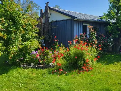 Ferienwohnung für 2 Personen (60 m²) in Wustrow (Ostseebad) 3/10