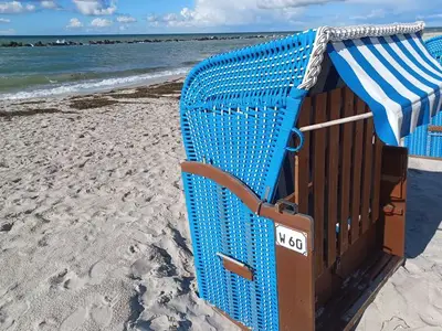Ferienwohnung für 4 Personen (57 m²) in Wustrow (Ostseebad) 2/10