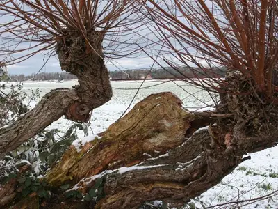 Ferienwohnung für 2 Personen (50 m²) in Wustrow (Ostseebad) 5/10