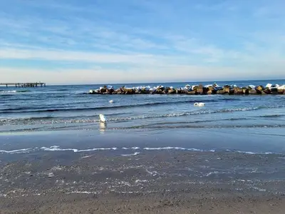 Ferienwohnung für 2 Personen (60 m²) in Wustrow (Ostseebad) 1/10