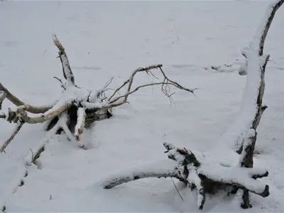 Ferienwohnung für 2 Personen (60 m²) in Wustrow (Ostseebad) 4/10