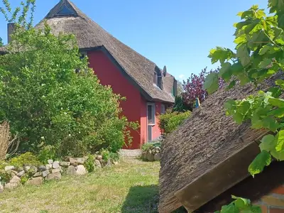 Ferienwohnung für 2 Personen (60 m²) in Wustrow (Ostseebad) 8/10