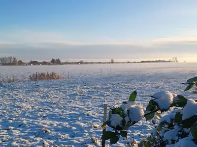 Ferienwohnung für 2 Personen (60 m²) in Wustrow (Ostseebad) 1/10