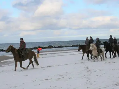 Ferienwohnung für 2 Personen (60 m²) in Wustrow (Ostseebad) 2/10