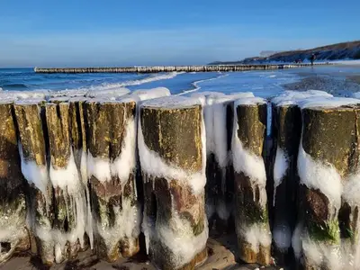 Ferienwohnung für 2 Personen (30 m²) in Wustrow (Ostseebad) 1/10