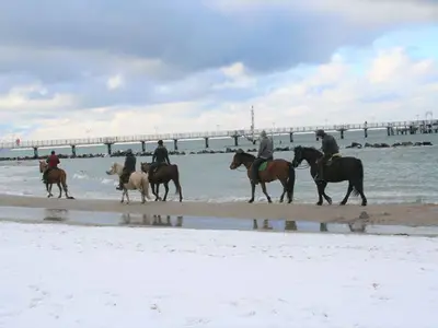 Ferienwohnung für 2 Personen (30 m²) in Wustrow (Ostseebad) 3/10