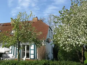 Ferienwohnung für 5 Personen (87 m²) in Wustrow (Ostseebad)