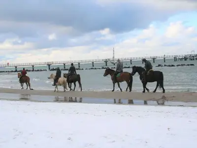 Ferienwohnung für 2 Personen (61 m²) in Wustrow (Ostseebad) 1/10