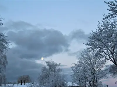 Ferienwohnung für 2 Personen (61 m²) in Wustrow (Ostseebad) 2/10