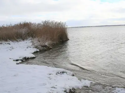 Ferienwohnung für 2 Personen (61 m²) in Wustrow (Ostseebad) 4/10