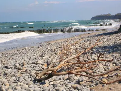 Ferienwohnung für 2 Personen (26 m²) in Wustrow (Ostseebad) 10/10
