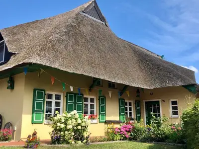 Ferienwohnung für 2 Personen (34 m²) in Wustrow (Ostseebad) 8/10