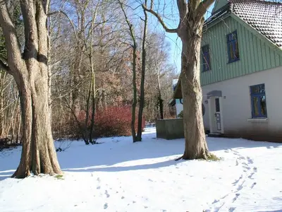 Ferienwohnung für 4 Personen (60 m²) in Wustrow (Ostseebad) 4/10