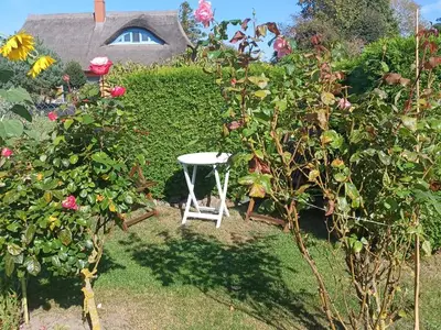 Ferienwohnung für 2 Personen (70 m²) in Wustrow (Ostseebad) 5/10