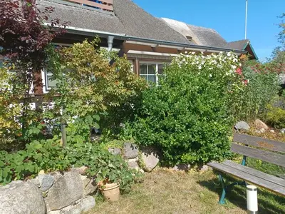 Ferienwohnung für 4 Personen (90 m²) in Wustrow (Ostseebad) 2/10