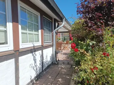Ferienwohnung für 4 Personen (90 m²) in Wustrow (Ostseebad) 9/10