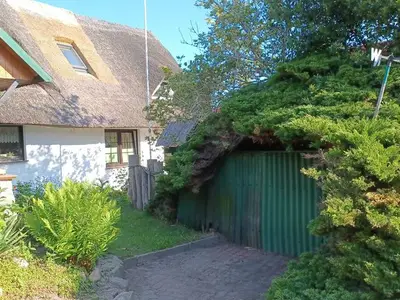Ferienwohnung für 4 Personen (56 m²) in Wustrow (Ostseebad) 3/10