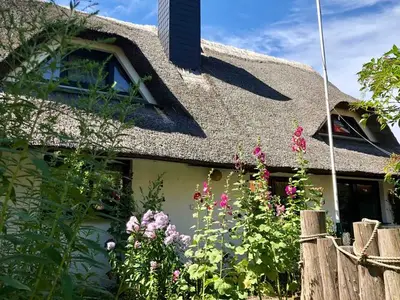 Ferienwohnung für 4 Personen (56 m²) in Wustrow (Ostseebad) 4/10