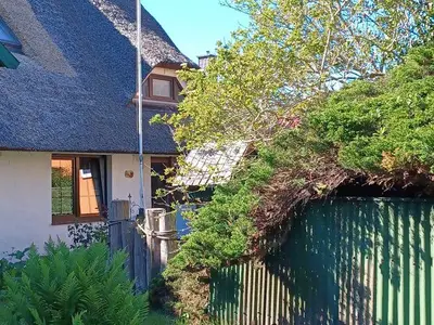 Ferienwohnung für 4 Personen (56 m²) in Wustrow (Ostseebad) 6/10
