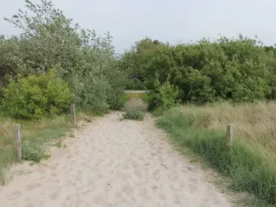 Ferienwohnung für 4 Personen (60 m²) in Wustrow (Ostseebad) 7/10