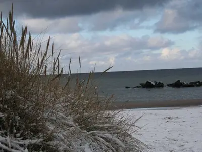 Ferienwohnung für 2 Personen (24 m²) in Wustrow (Ostseebad) 7/10