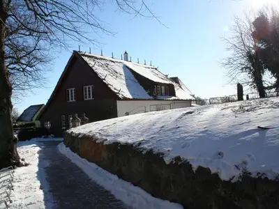 Ferienwohnung für 3 Personen (57 m²) in Wustrow (Ostseebad) 4/10