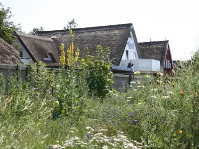 Ferienwohnung für 3 Personen (56 m²) in Ostseebad Wustrow 3/10