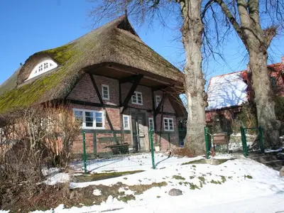 Ferienwohnung für 3 Personen (60 m²) in Wustrow (Ostseebad) 10/10