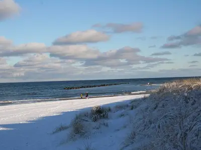 Ferienwohnung für 3 Personen (60 m²) in Wustrow (Ostseebad) 2/10