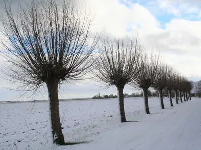 Ferienwohnung für 3 Personen (60 m²) in Wustrow (Ostseebad) 7/10