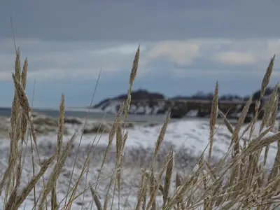 Ferienwohnung für 4 Personen (78 m²) in Wustrow (Ostseebad) 5/10