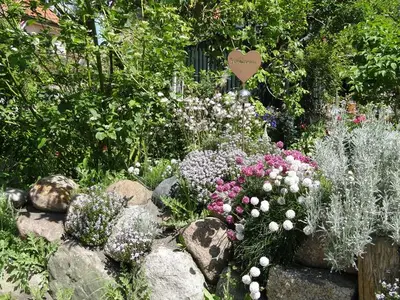 Ferienwohnung für 2 Personen (50 m²) in Wustrow (Ostseebad) 10/10