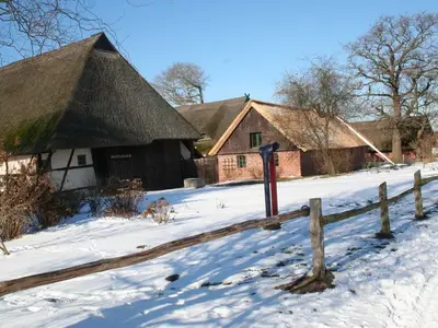 Ferienwohnung für 2 Personen (50 m²) in Wustrow (Ostseebad) 3/10